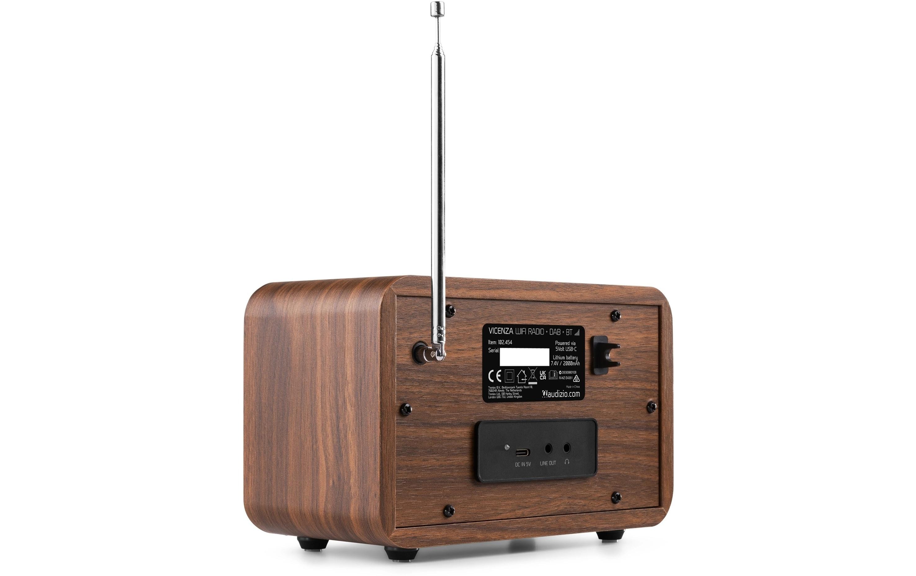 Audizio DAB+ Radio Vicenza Braun