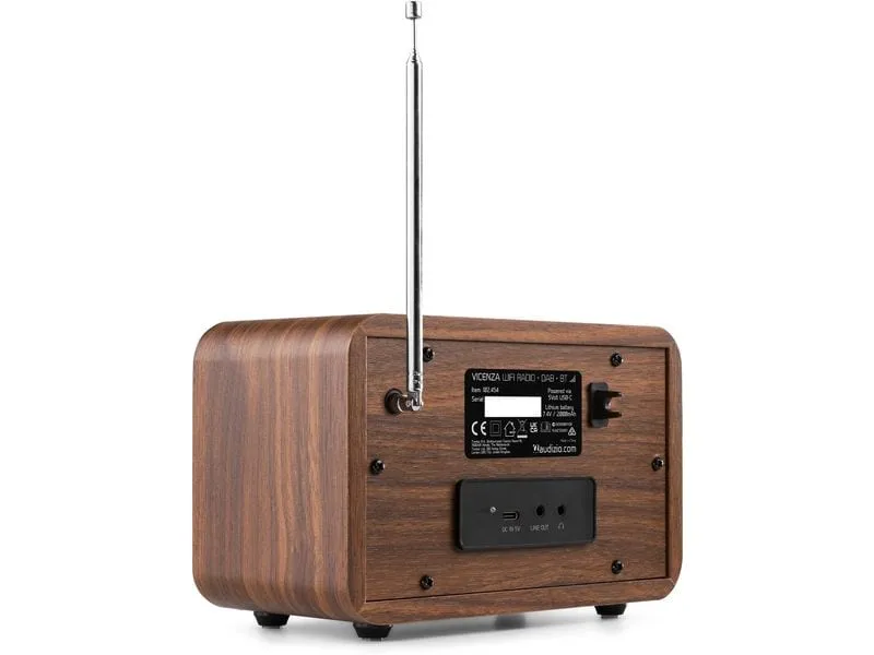 Audizio DAB+ Radio Vicenza Braun