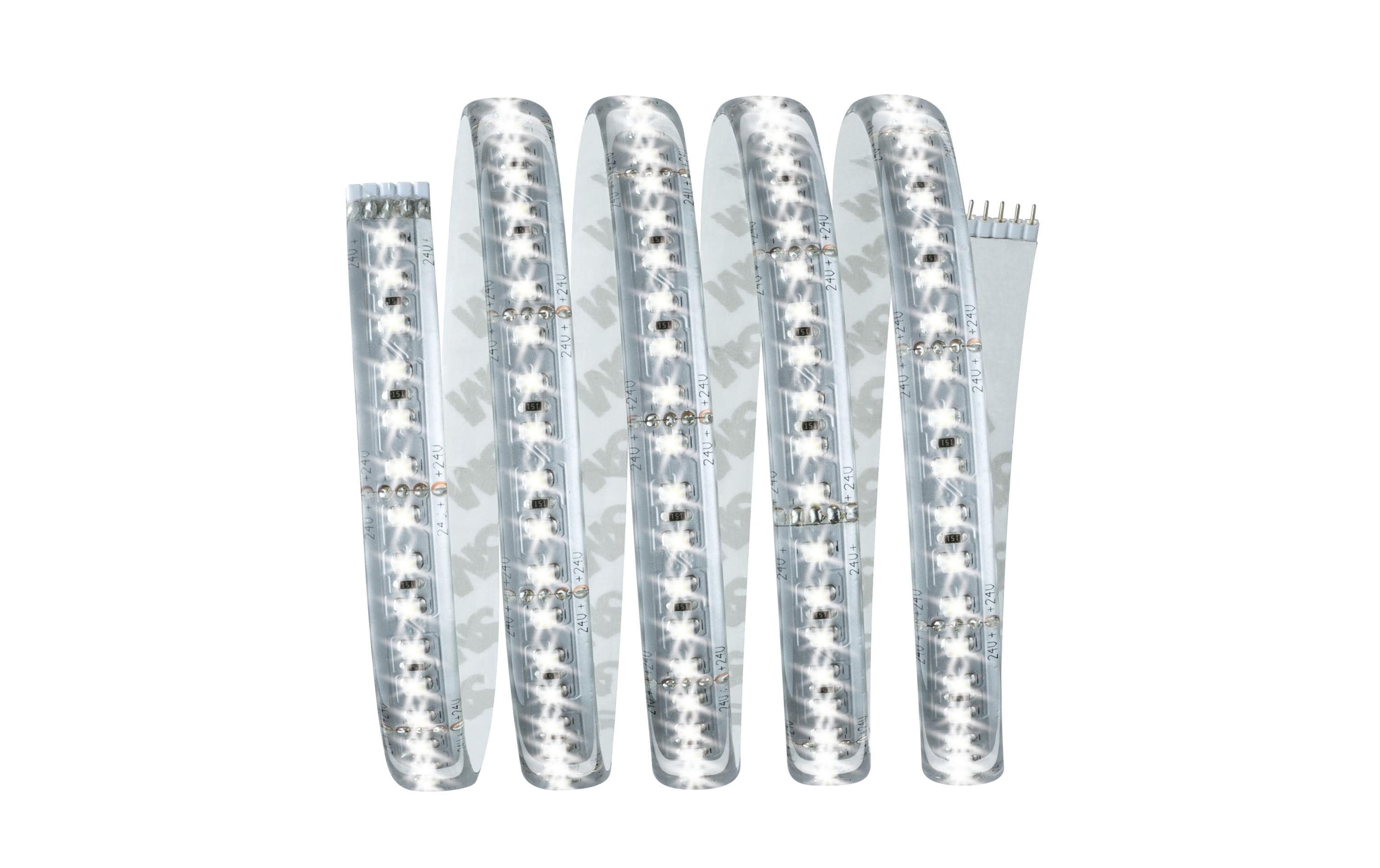 Paulmann LED-Stripe MaxLED 1000 6500 K, 1.5 m Basisset