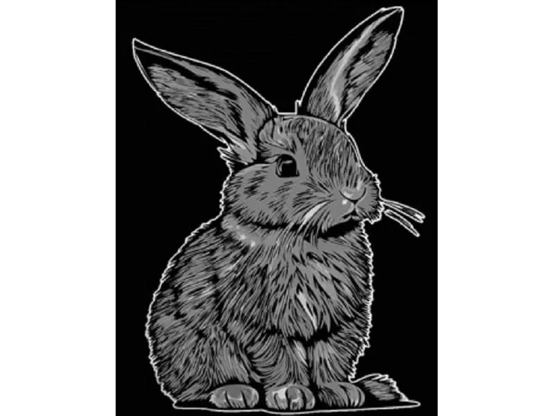 Tataruga Samtbild A4, Hase