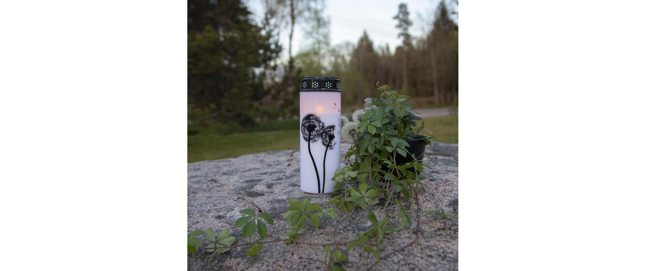 Star Trading LED Grabkerze Löwenzahn, Ø 7 x 21 cm, Weiss Star Trading LED Grabkerze Löwenzahn, Ø 7 x 21 cm, Weiss