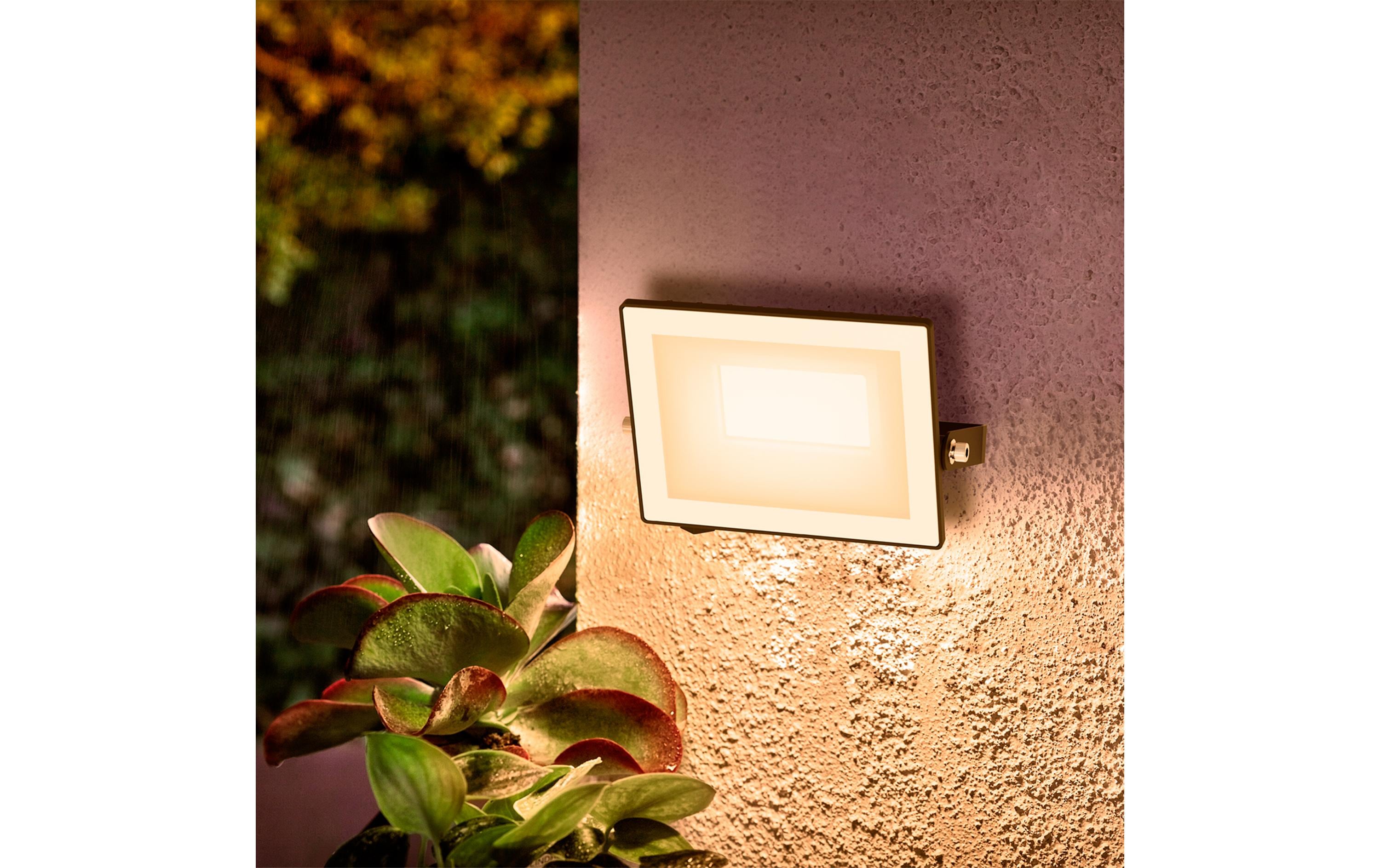 Philips Lois Flutlicht 20W 3000K IP65 schwarz 20 W