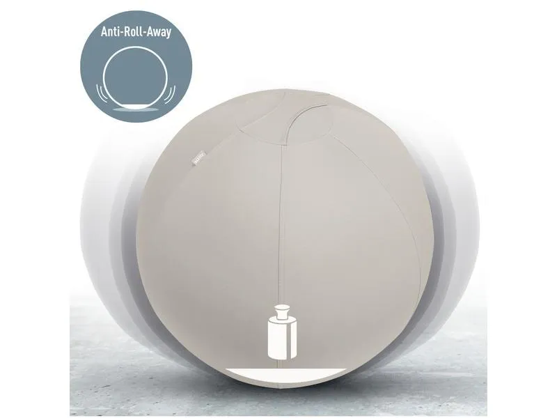 Leitz Sitzball Ergo Active 55 cm