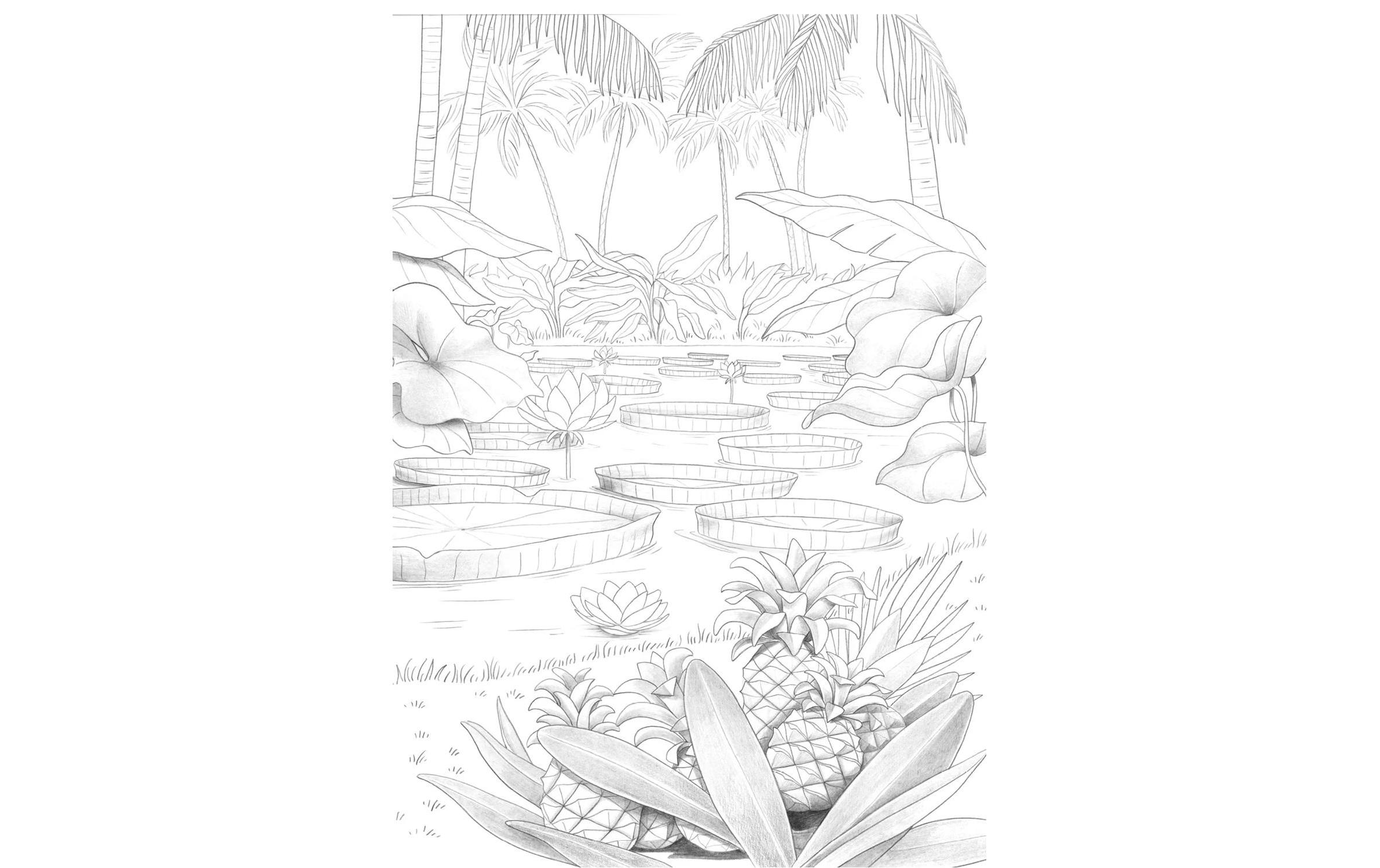 Clairefontaine Malblock Gärten A4, 20 Blatt, 6 Motive