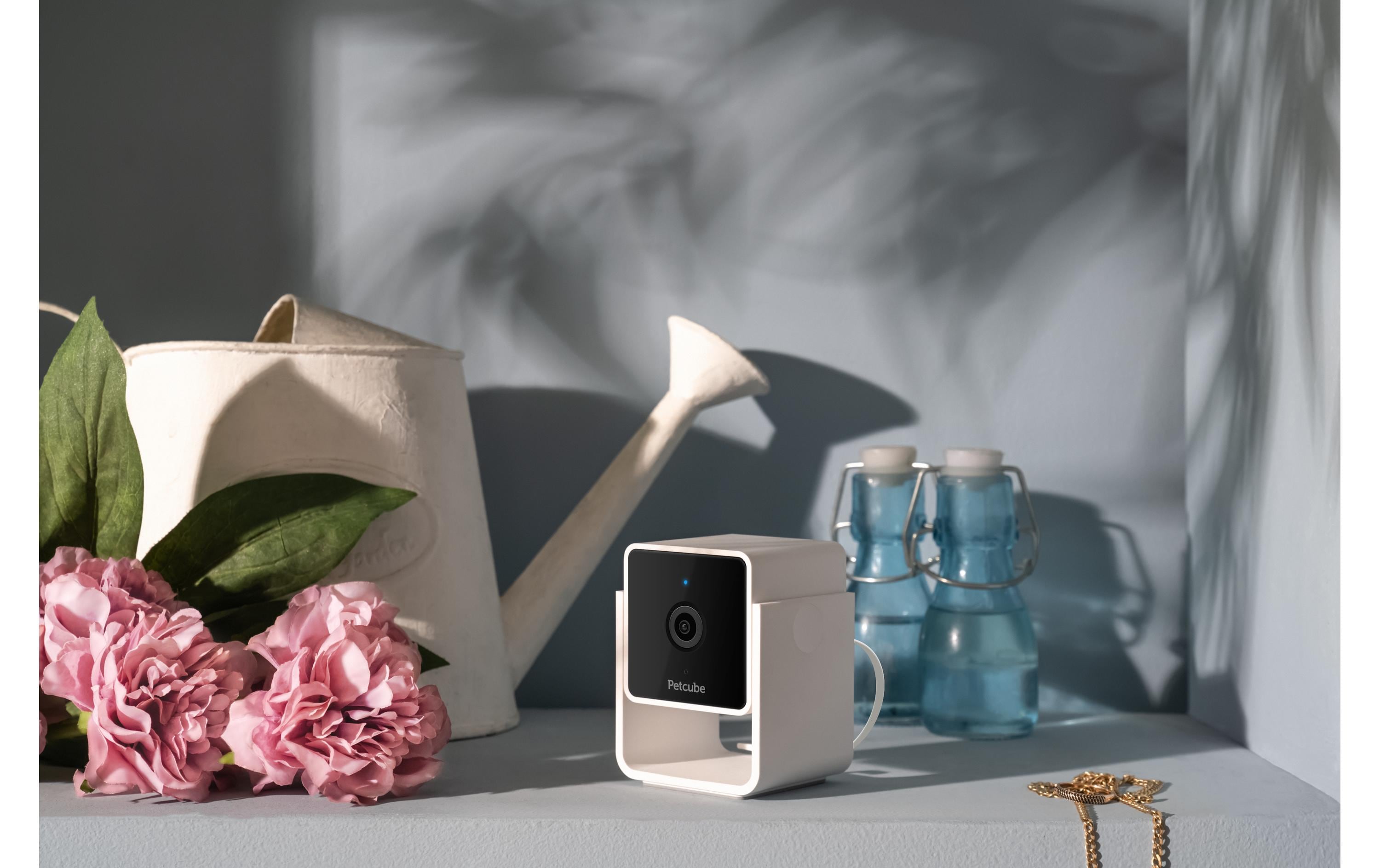 Petcube Haustierkamera Pet Cube