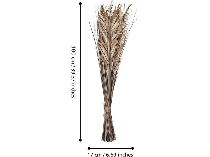 EGLO Trockenblume Braun 17 x 60 x 100 cm