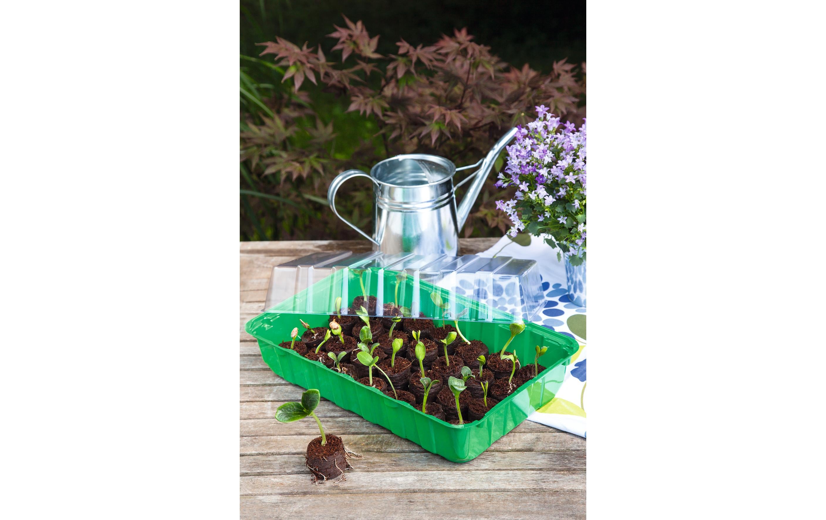 Romberg Anzuchthaus M PLUS COCO + 28 Kokos-Quelltabletten