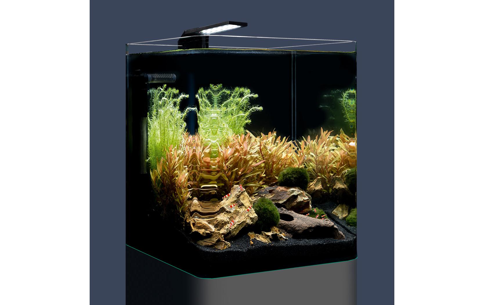 Dennerle Aquarium Nano Cube Basic, 20 l Dennerle Aquarium Nano Cube Basic, 20 l