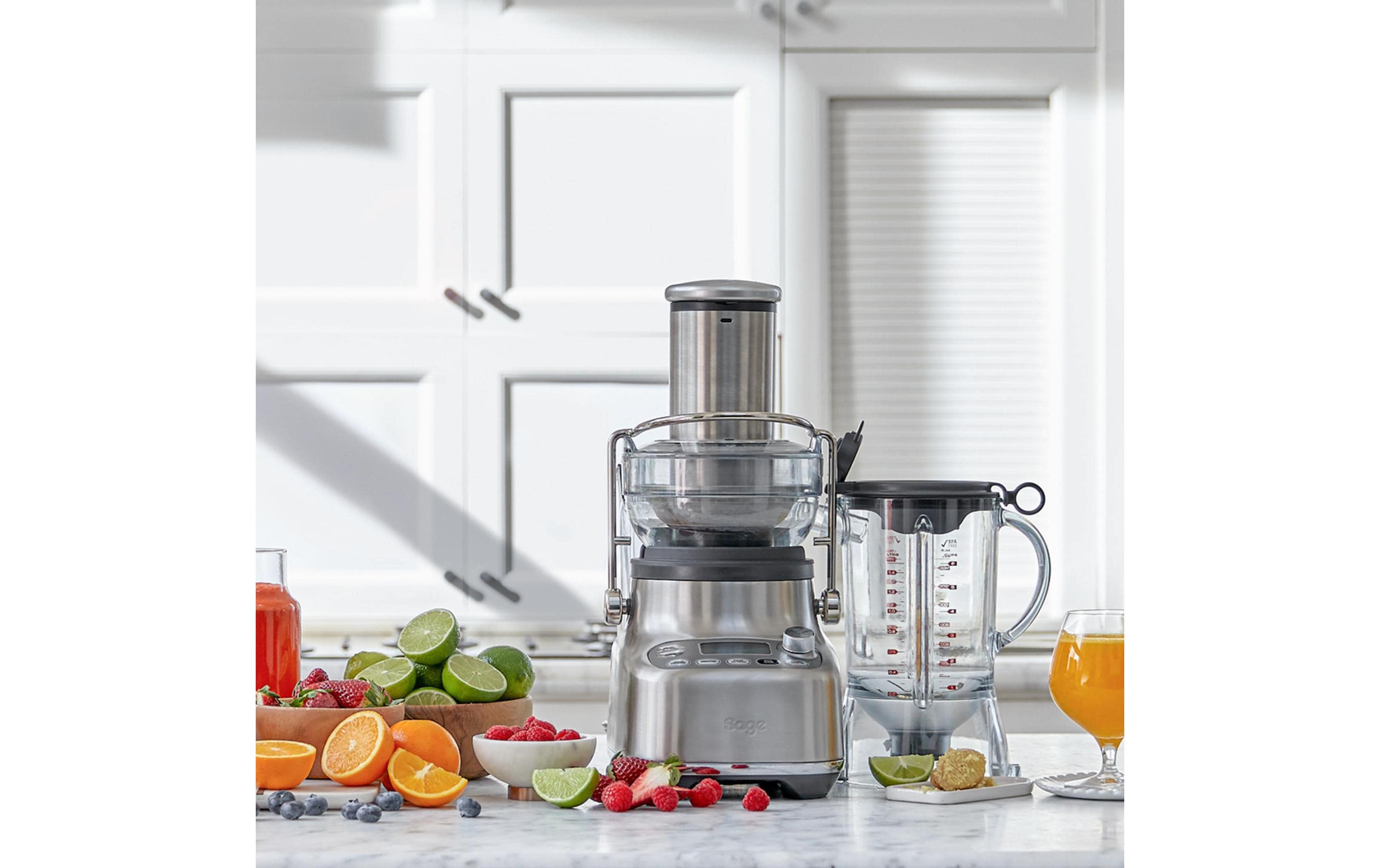 Sage Multifunktionsmixer The 3X Bluicer PRO Silber