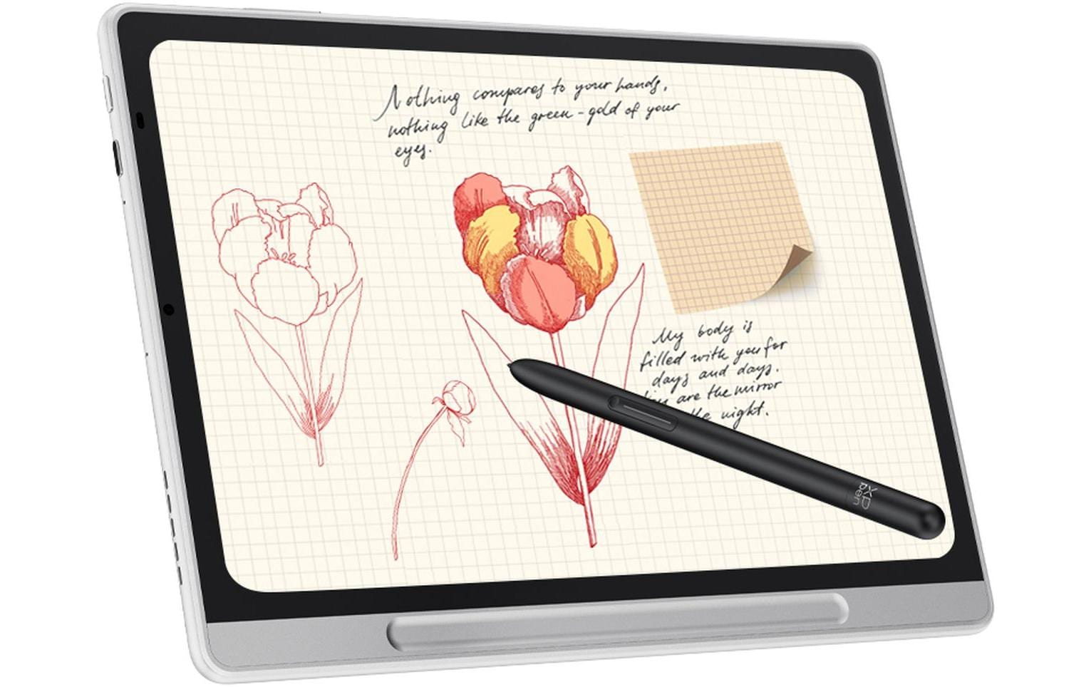 XP-PEN XP-PEN Magic Notepad Reader 16K Druckstufen