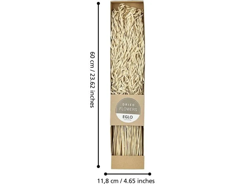 EGLO Trockenblume 60 cm EGLO Trockenblume 60 cm