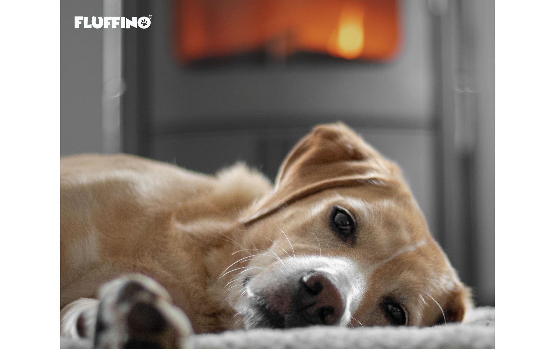 Fluffino Hunde-Decke S, Grau