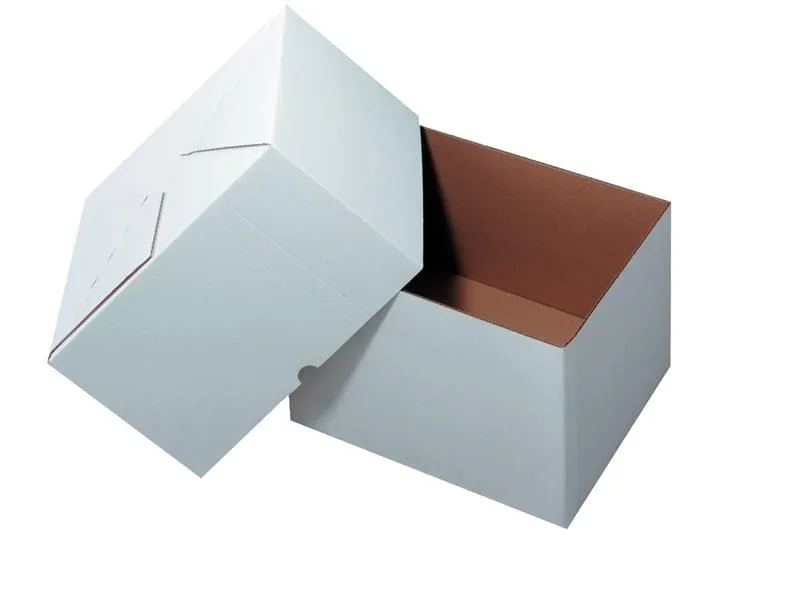 Antalis Versandkarton 30.5 x 22 x 22 cm 2-teilig, 25 Stück, Weiss Antalis Versandkarton 30.5 x 22 x 22 cm 2-teilig, 25 Stück, Weiss