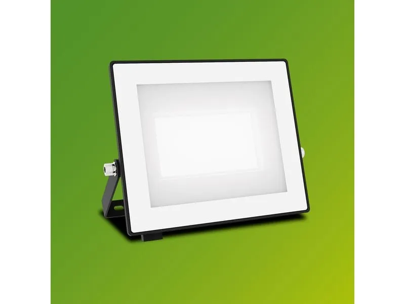 Philips Lois Flutlicht 30W 5000K IP65 schwarz 30 W