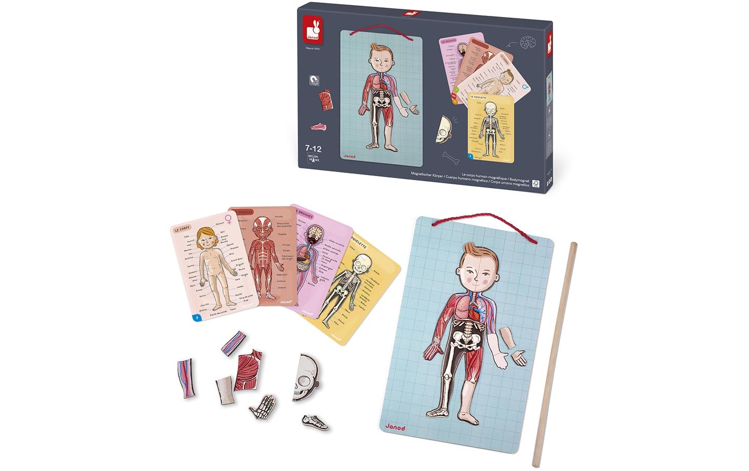 Janod Kinderspiel Magnetspiel Körper Janod Kinderspiel Magnetspiel Körper
