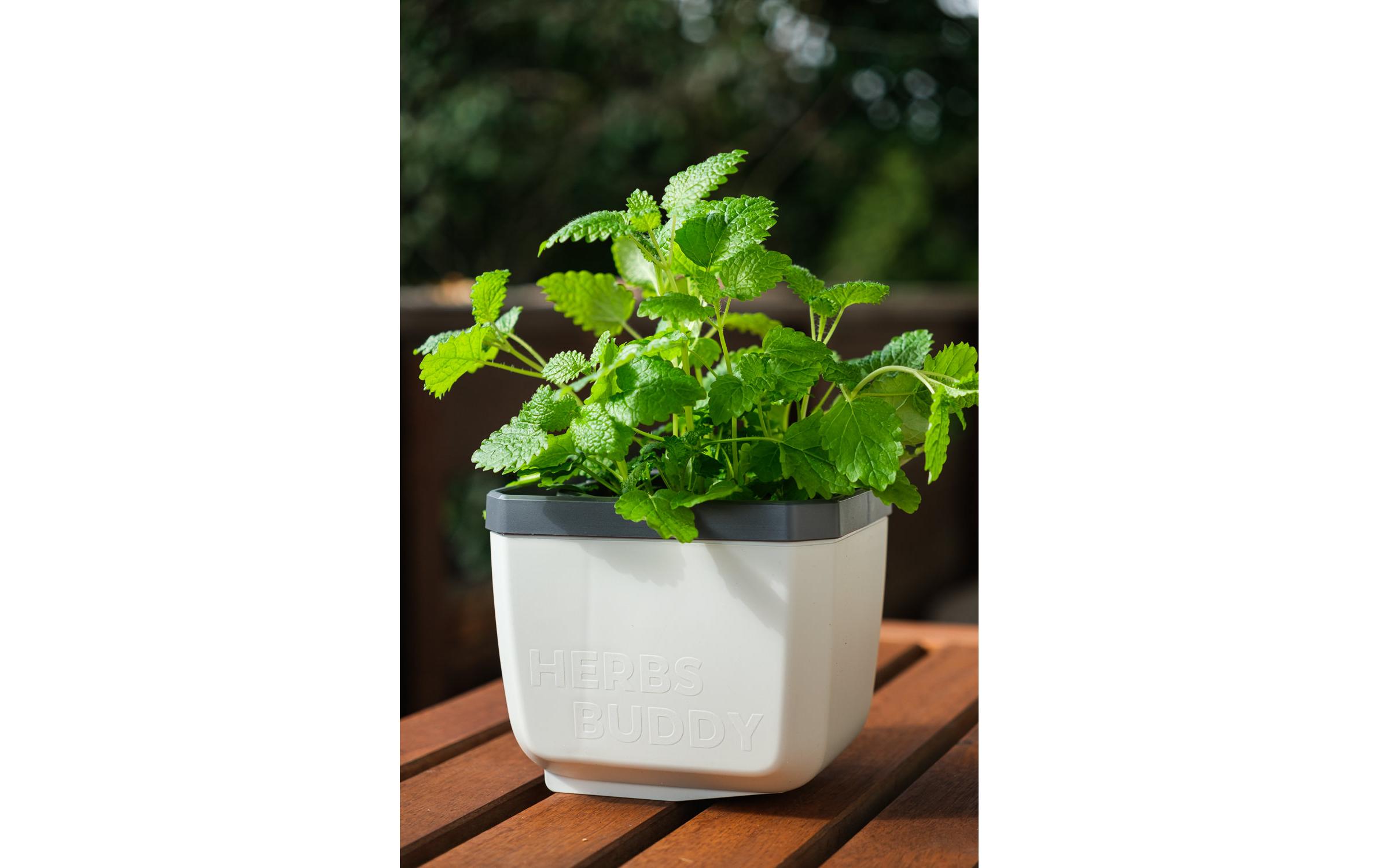 Gusta Garden HERBS BUDDY Kräutertopf 3er Set Weiss