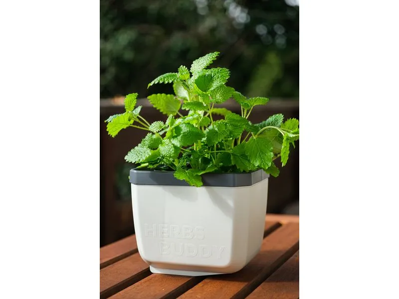 Gusta Garden HERBS BUDDY Kräutertopf 3er Set Weiss Gusta Garden HERBS BUDDY Kräutertopf 3er Set Weiss