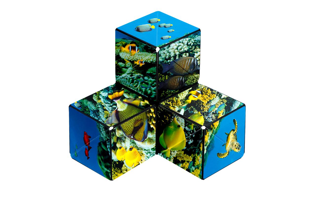 Shashibo Shashibo Cube Undersea