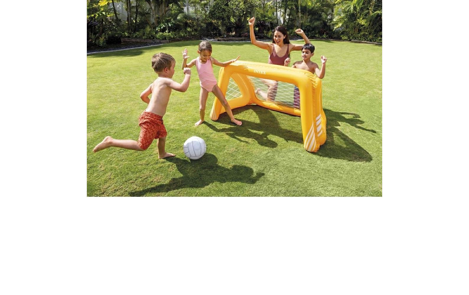 Intex Fun Goals Game