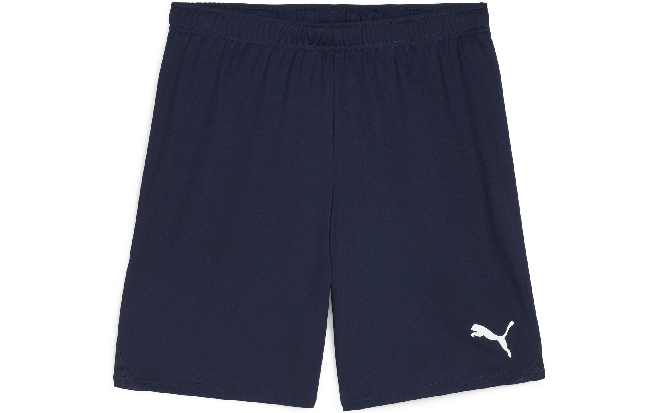 PUMA Shorts teamGOAL L, Blau