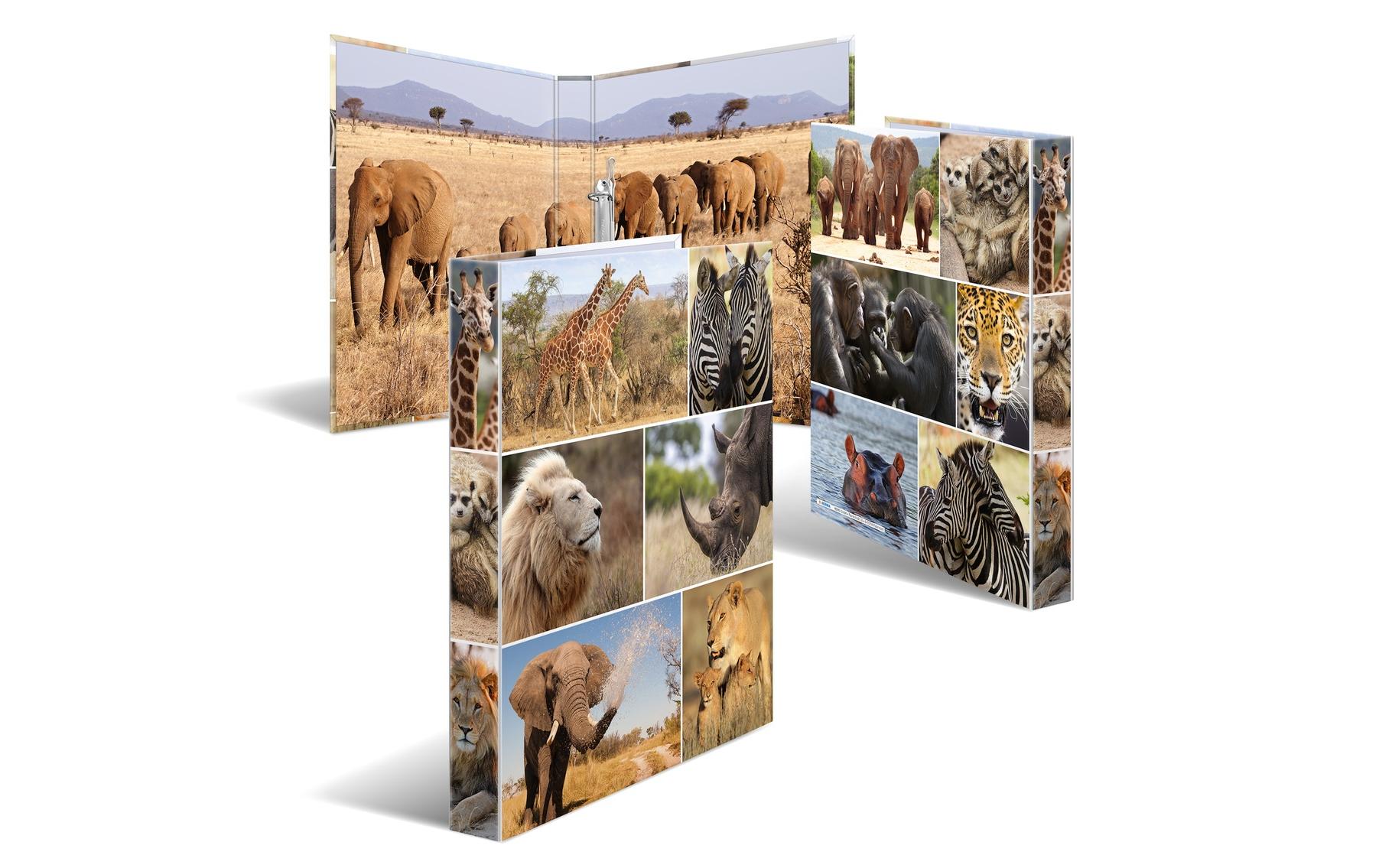 HERMA Ringbuch Afrika 2-Ring 3.5 cm, Mehrfarbig