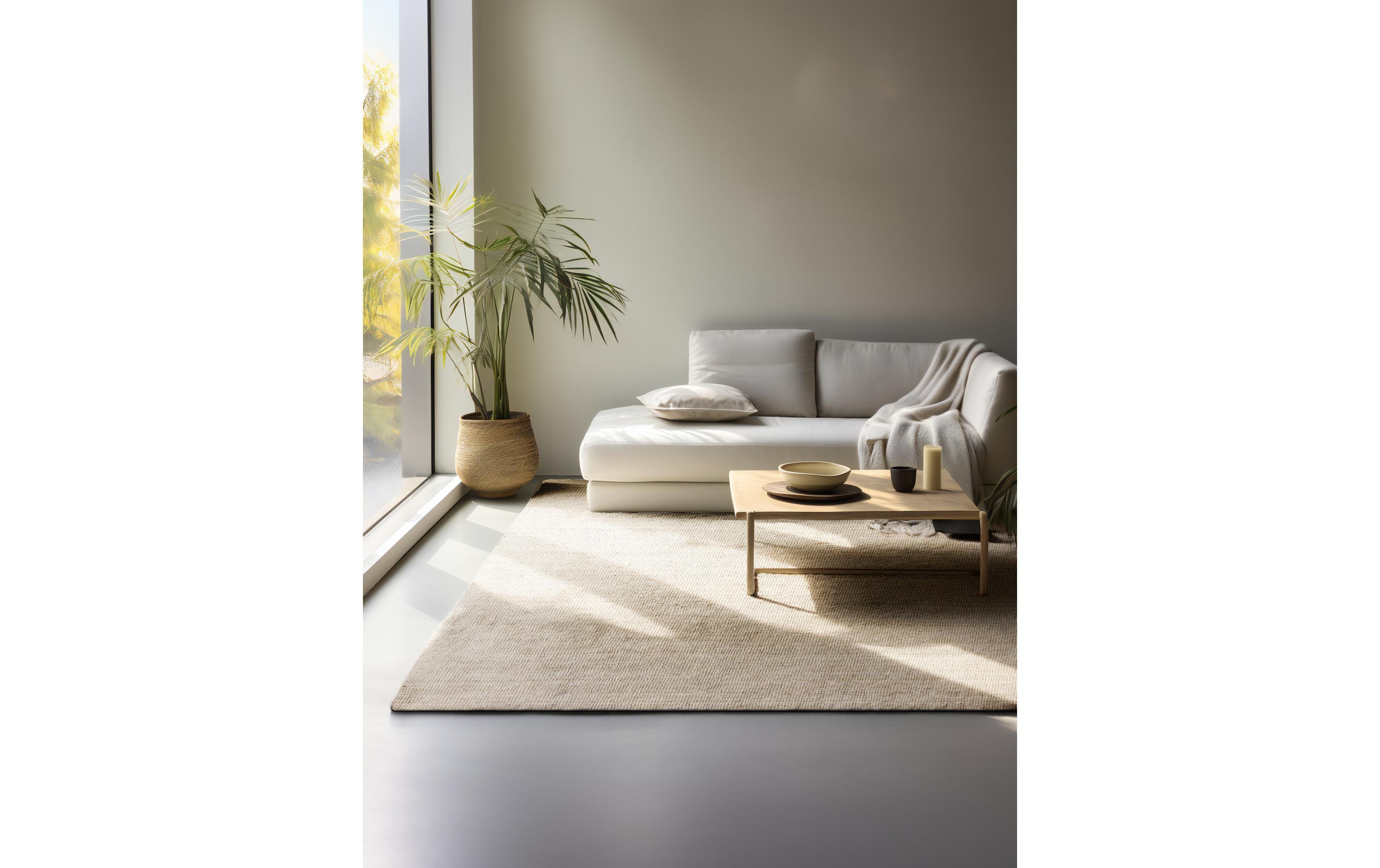 Hanse Home Teppich Jaipur 160 cm x 230 cm, Ivory