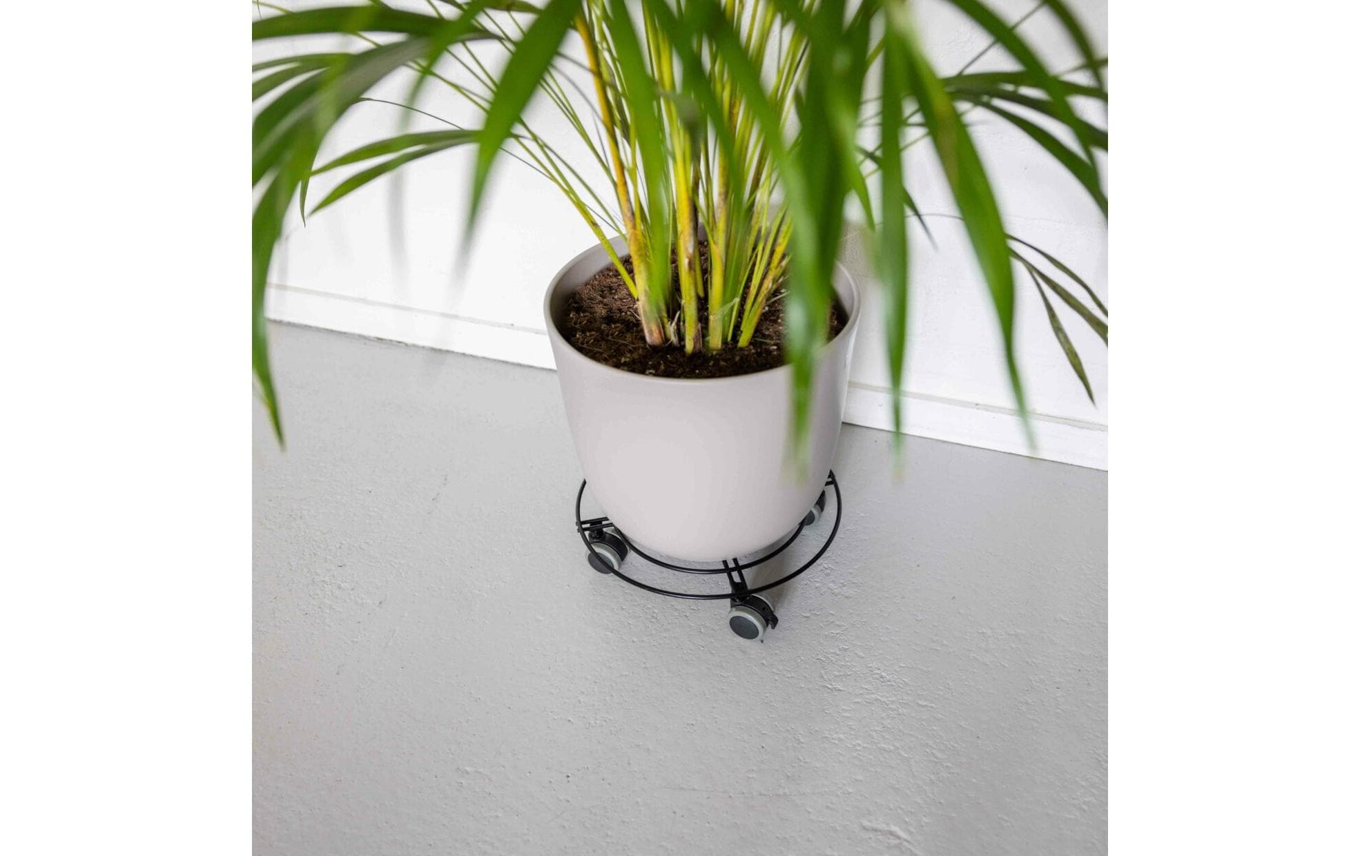 Esschert Design Pflanzentrolley S Schwarz