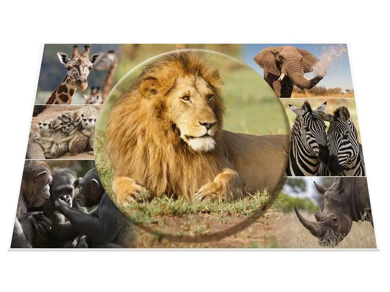 HERMA Schreibunterlage Afrika Tiere 55 x 35 cm