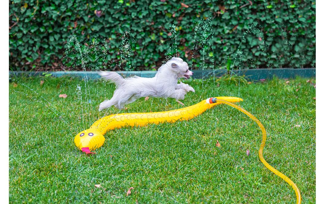 Beeztees Splashy Schlange 150 cm