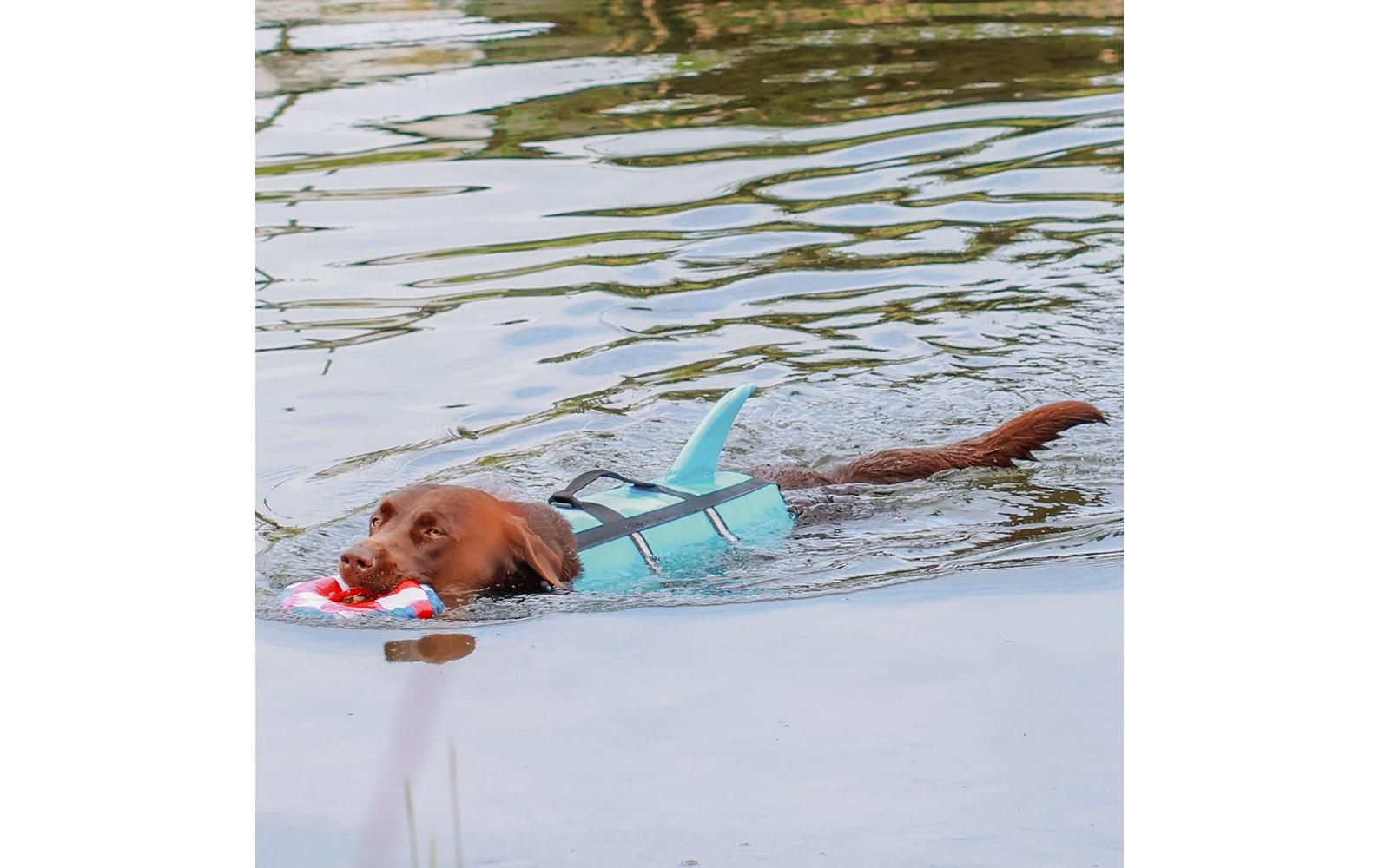 Nobby Schwimmweste Sharki L, 40 cm, Blau