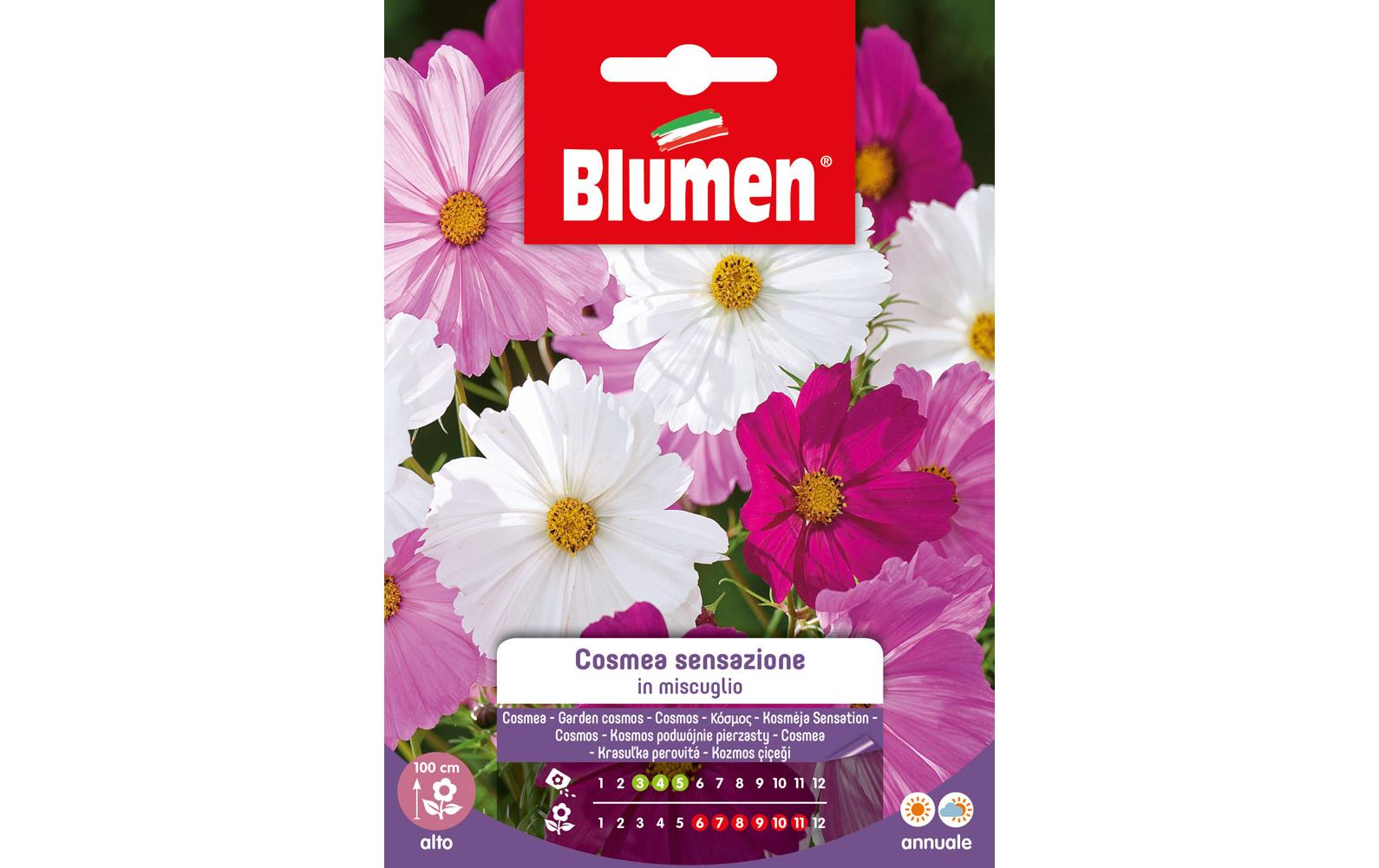 Blumen Saatgut Cosmea Sensazione Mix