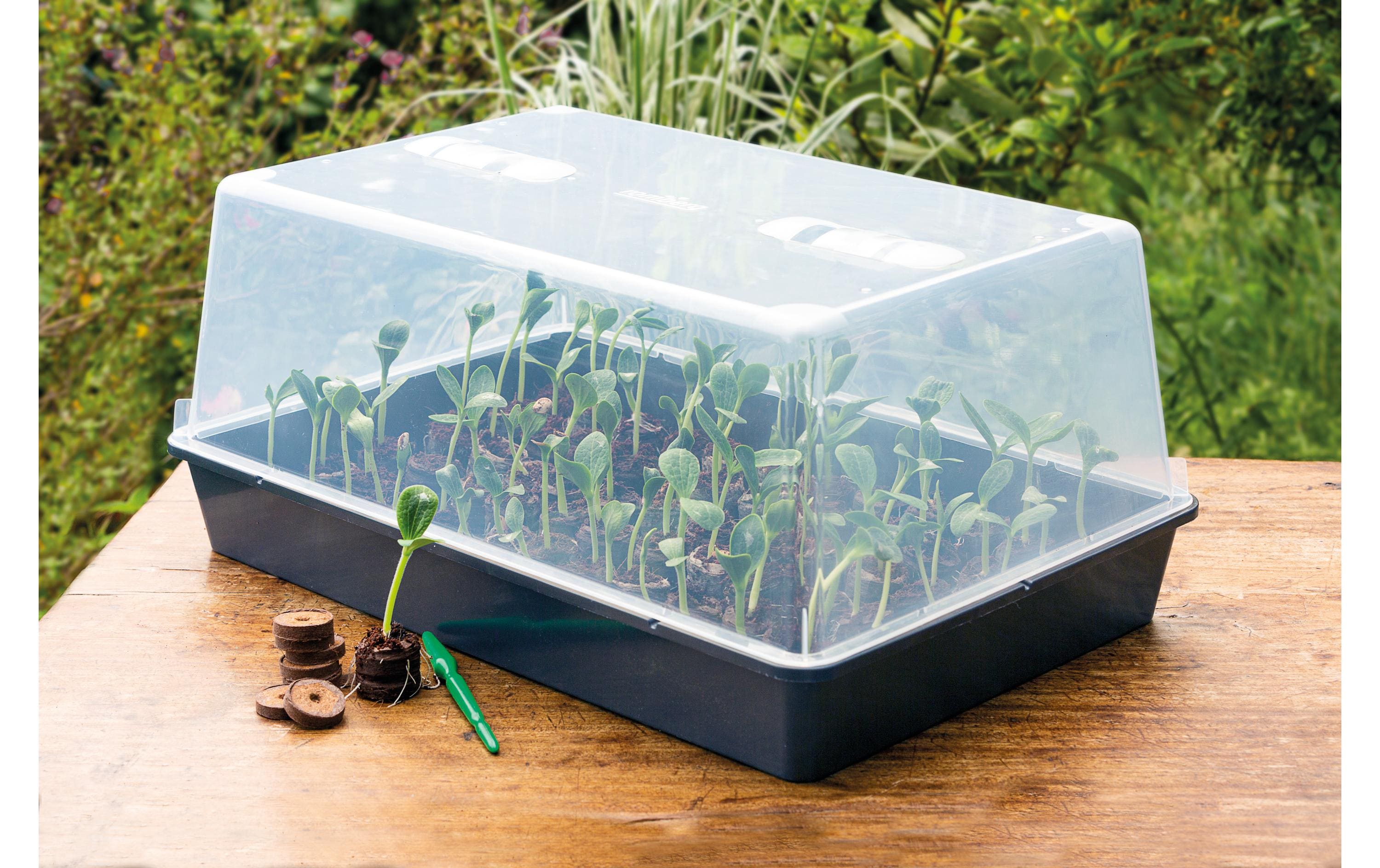 Romberg Gewächshaus XXL mit Belüftung,stabil,lose Ware